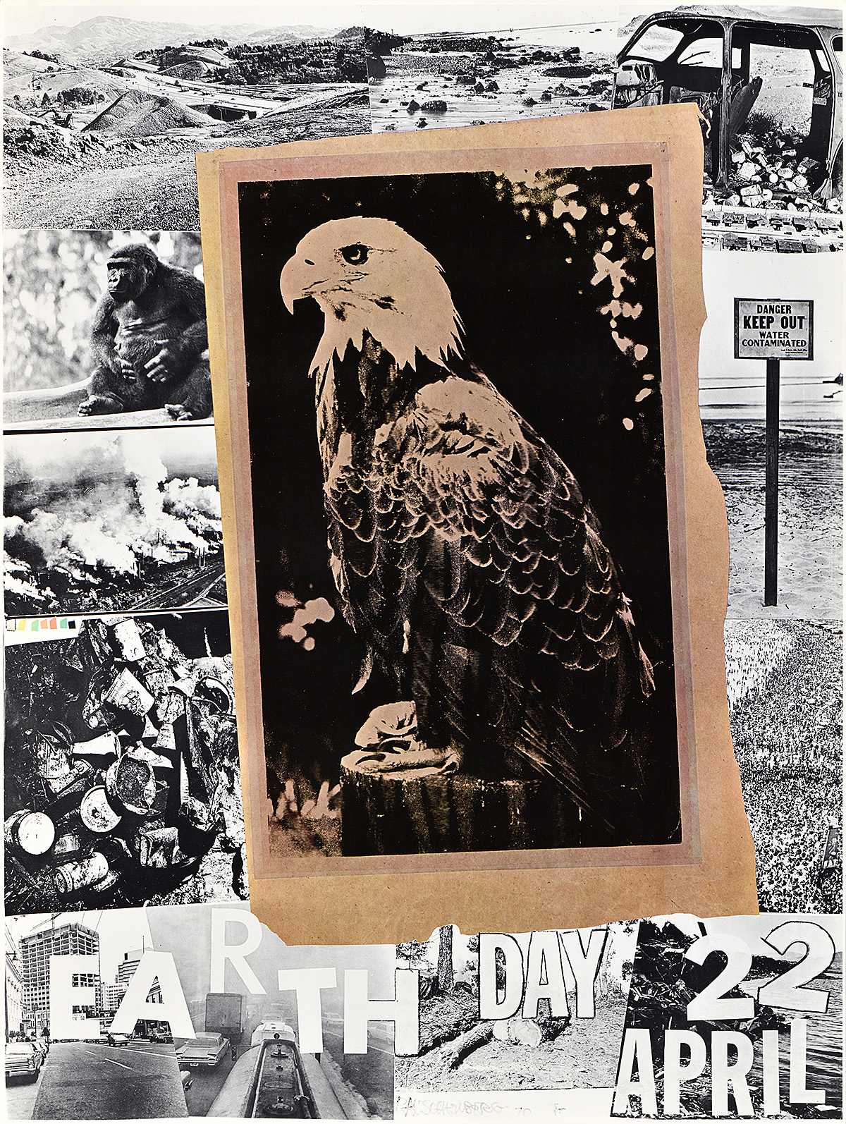 A poster of a photograph of an eagle surrounded by various photographs of decrepit landscapes.