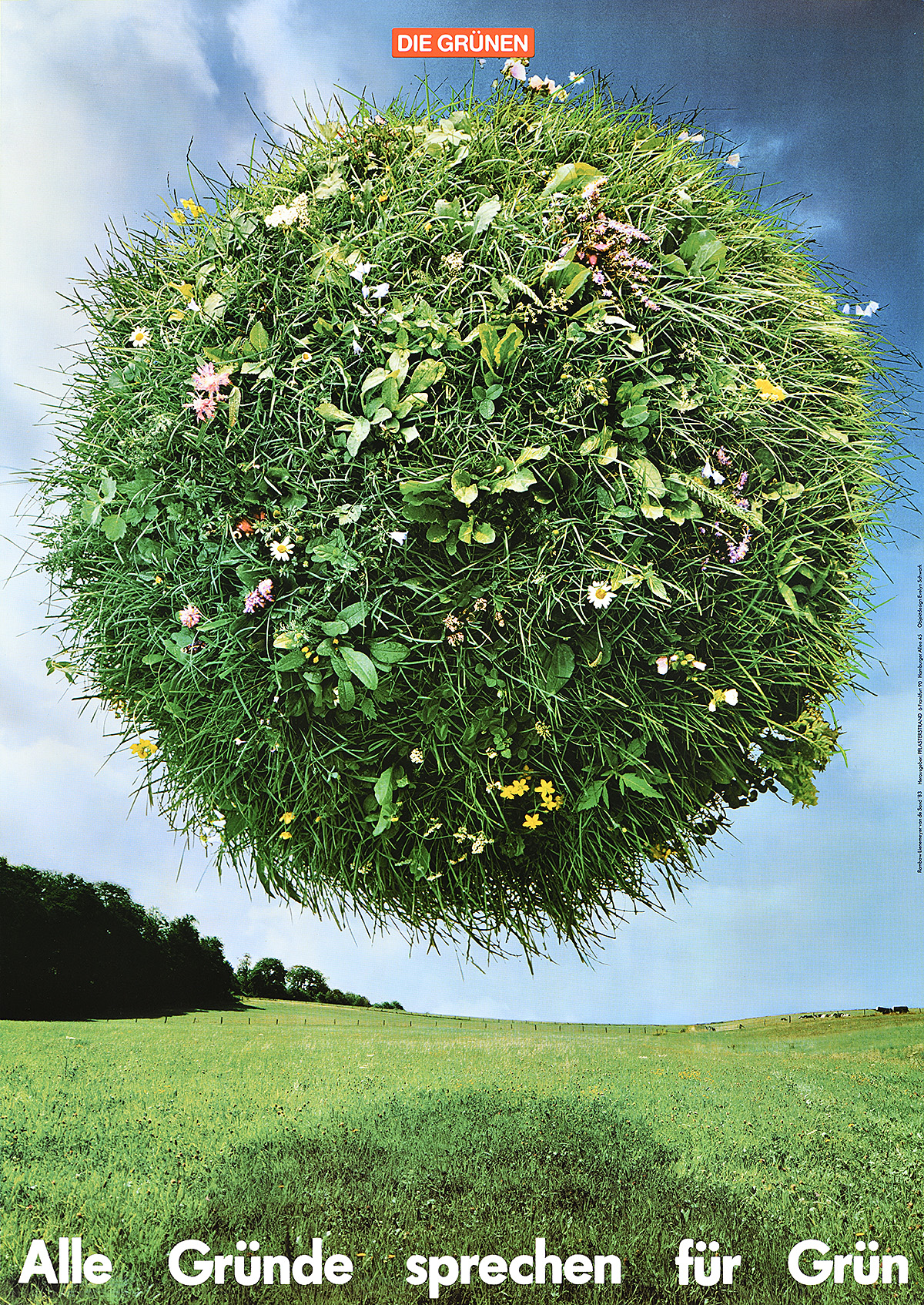 A poster of a ball covered in plants, grass, and flowers floating over a green field.