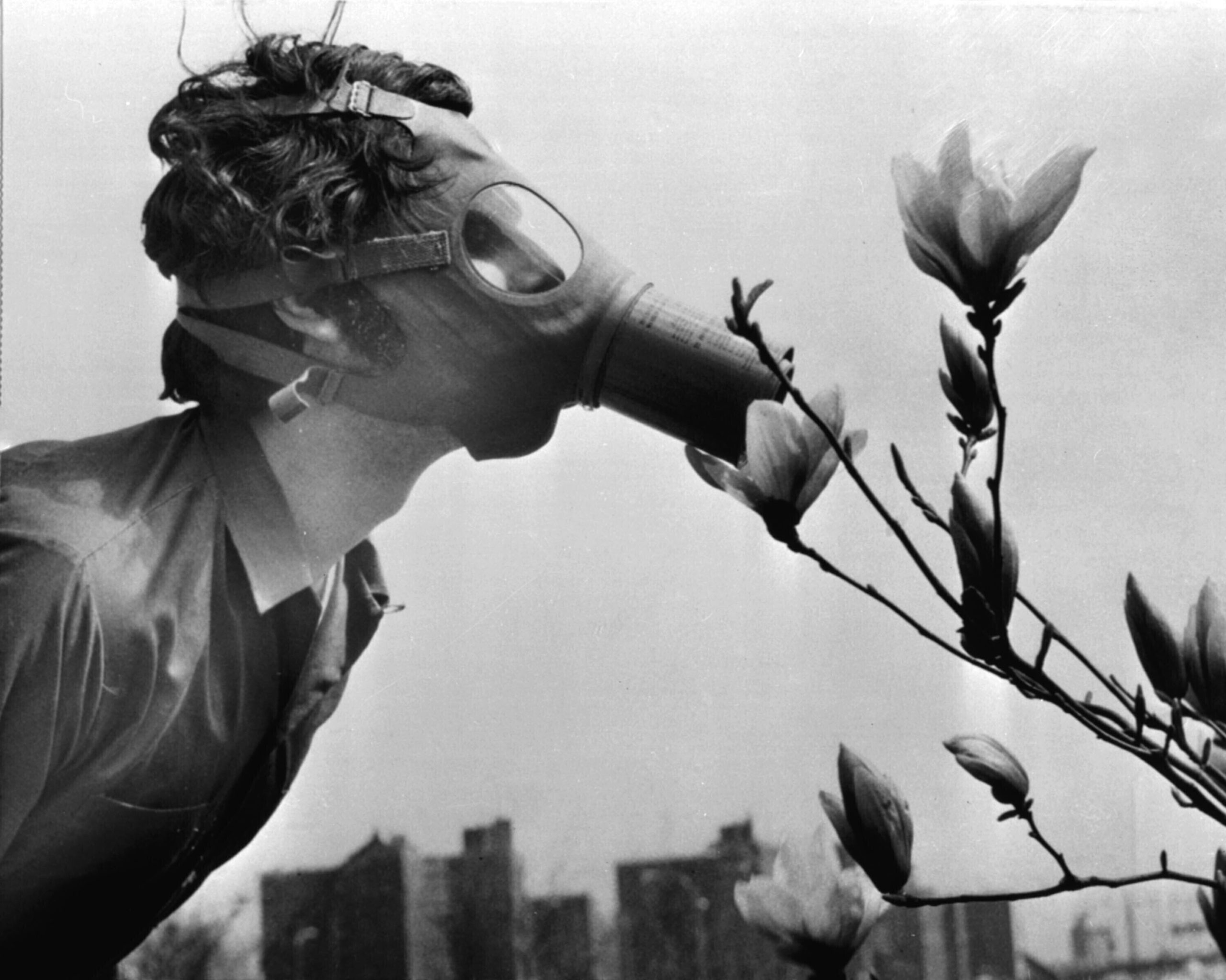 A black and white photograph of a figure wearing a gas mask and sniffing a flower.