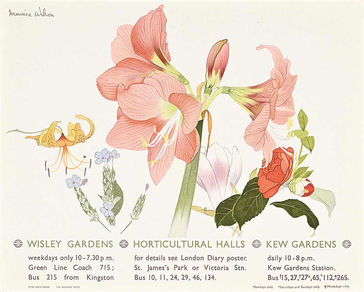 A poster with detailed images of 5 different flowers, including a huge pink lily.