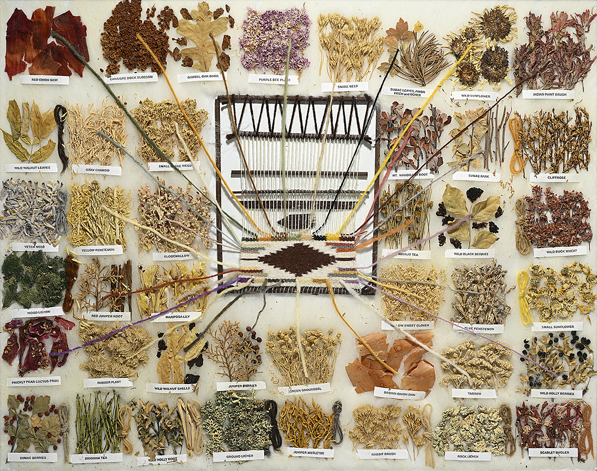 A collection of 42 natural materials arranged in a grid with labels underneath each grouping.